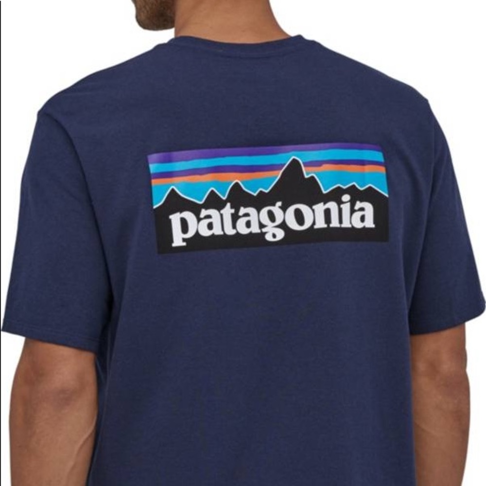 Blue Patagonia T-Shirt
